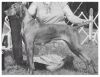 Thumbnail of Barben's New Year's Champagne