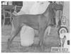Thumbnail of Cariad's Gypsy Sprite