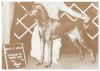 Thumbnail of Charlotte's Molasses Taffy