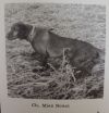 Thumbnail of Miss Nessi