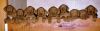 Thumbnail of Bory of Toy Town