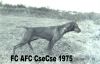 Thumbnail of Behi Csecse Csiny