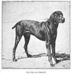Thumbnail of Graf Hoyer vom Mansfeld (DK)