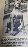 Thumbnail of Rábaközi Tisza Ripp