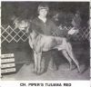 Thumbnail of Piper's Tijuana Red