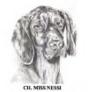 Thumbnail of Miss Nessi