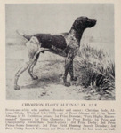 Thumbnail of Flott Altenau (DK)