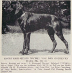 Thumbnail of Michel von der Goldenen Mark (DK)