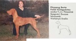 Thumbnail of Pitypang Berta