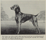 Thumbnail of Brok Selle Son of A Gun / Wolfe's Brok Selle