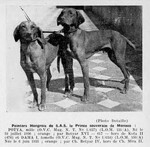 Thumbnail of Dáma I