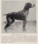 Thumbnail of Artus Sand (DK)