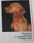 Thumbnail of Zámi Bütyök