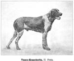 Thumbnail of Vasco Kraschnitz (DSt)