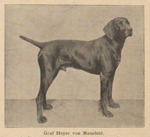 Thumbnail of Graf Hoyer vom Mansfeld (DK)